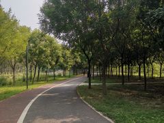 -马家湾湿地公园