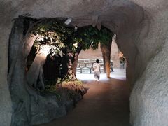 -南山植物园