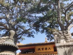 -五台山风景名胜区