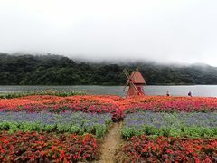-广州市石门国家森林公园