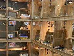 -BABIT巴比特宠物(MOMOPARK店)