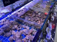-渔民船说·北塘海鲜·天津菜·海肠捞饭(北塘古镇店)