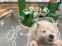 -瑞虹新天地月亮湾