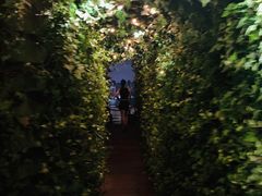 -顶层酒吧ROOF(上海艾迪逊酒店)