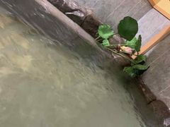 -汤泉良子.足疗按摩.SPA(中关村店)