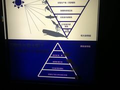 -同济大学四平路校区深海探索馆