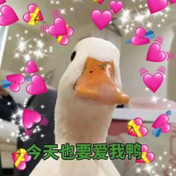 -Yukina Plus专业日式美肌