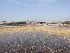 -西安浐灞国家湿地公园