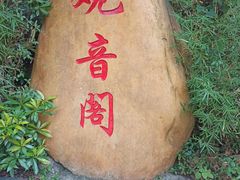 -大屏嶂森林公园