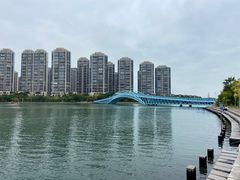 -五缘湾湿地公园