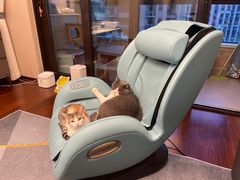 -瑞鹏宠物医院犬猫全科(真大分院)