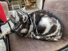 -Liberty Brewing Co·曼哈顿餐吧