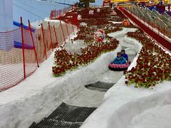 -广州热雪奇迹