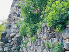 -遥桥古堡