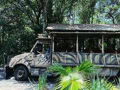 -奥兰多迪士尼动物王国乐园