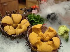 活马海胆-鮨桐日本料理(望京店)