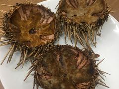 -海胆小馆(东北水饺·春柳店)