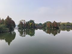 -海珠湖公园