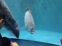 -青岛海底世界-水族馆
