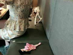 -酸喜·三度酸·贵州味