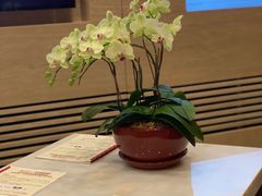 -香港ELEMENTS圆方