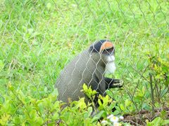 -杭州野生动物世界