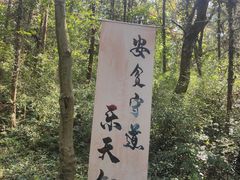 -句容茅山景区