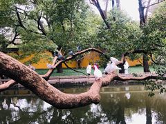 -西园戒幢律寺