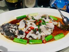 鲜花椒油浸笋壳鱼-侨美食家·粤菜(体育西路店)