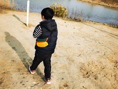 -昆山城市生态森林公园