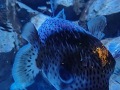 -成都浩海立方海洋公园