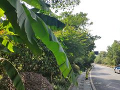 -杭州花家山庄