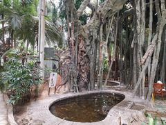 -龙达温泉生态城