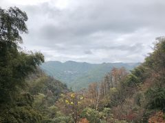 -藏龙百瀑风景区
