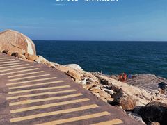 -广东惠东海龟国家级自然保护区