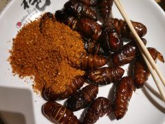 -初色海鲜自助(万丰路店)