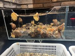 -日丰园海肠水饺·老字号大连海鲜(和平广场店)