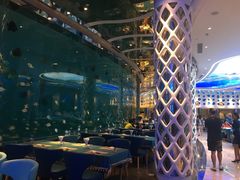 -瑞德姆美人鱼海底演艺主题餐厅(亚龙湾店)