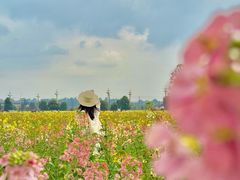 -中国天府农业博览园