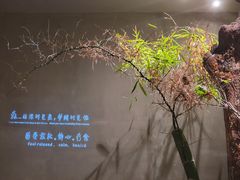 -森SPA·泰式按摩·精油Massage(宝安中心店)