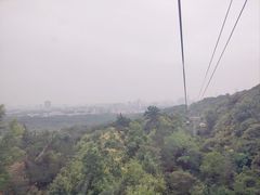 -紫金山山顶公园