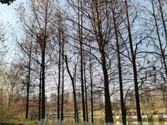 -滨湖塘西河公园