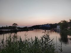 -大塘金香草谷