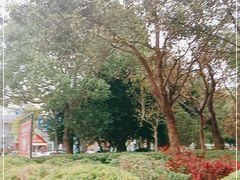-天后宫民俗文化街