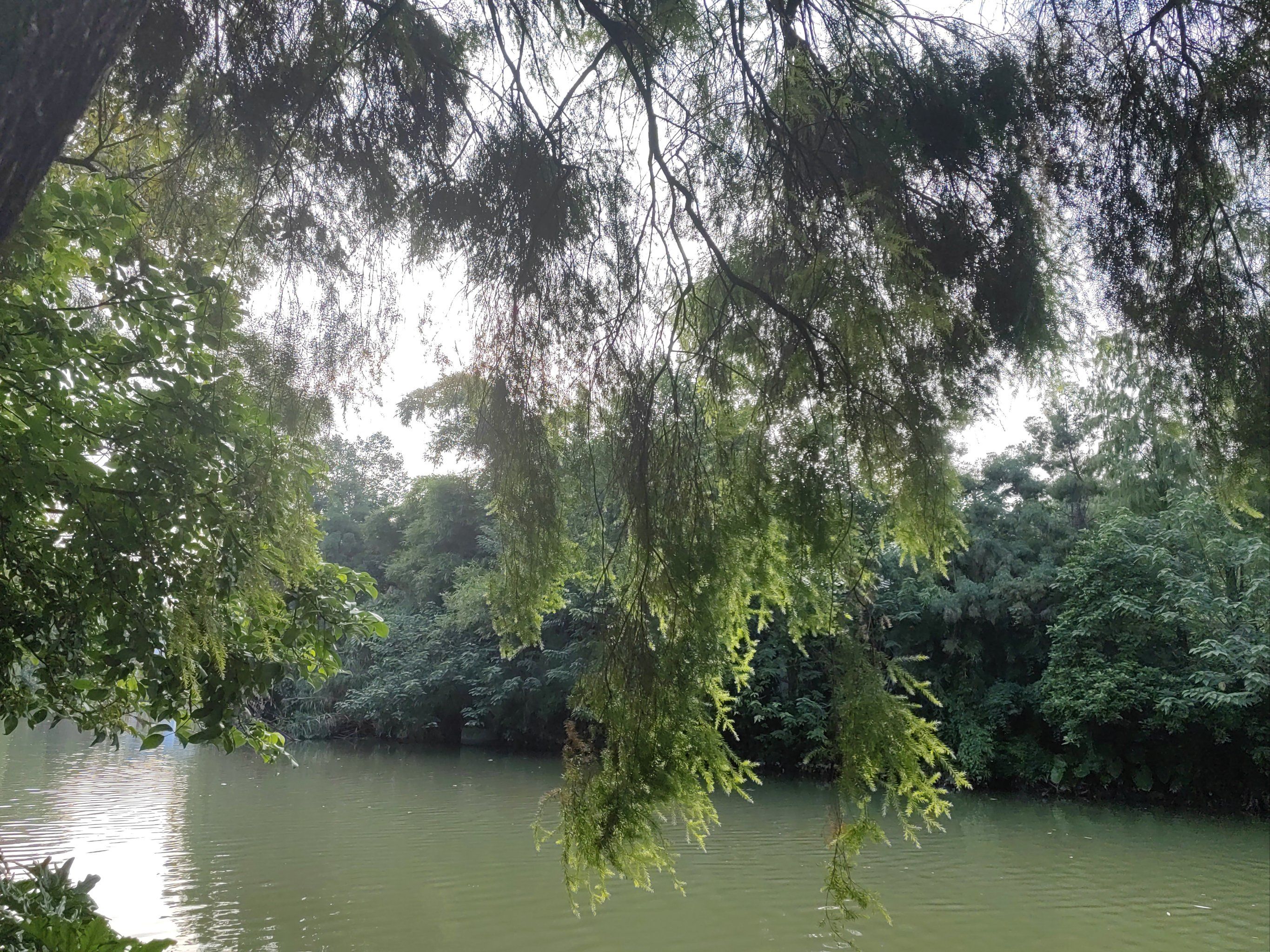 绿岛湖湿地公园