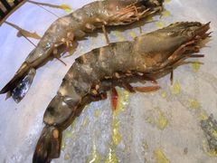 -熊出没日本烧肉放题