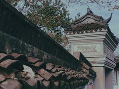 -上海佘山国家森林公园天马山园