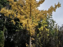 -白鹭湾湿地公园