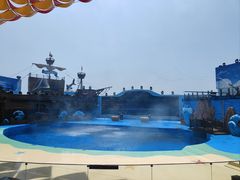 -海合安青岛极地海洋公园