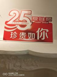 -爱维丽